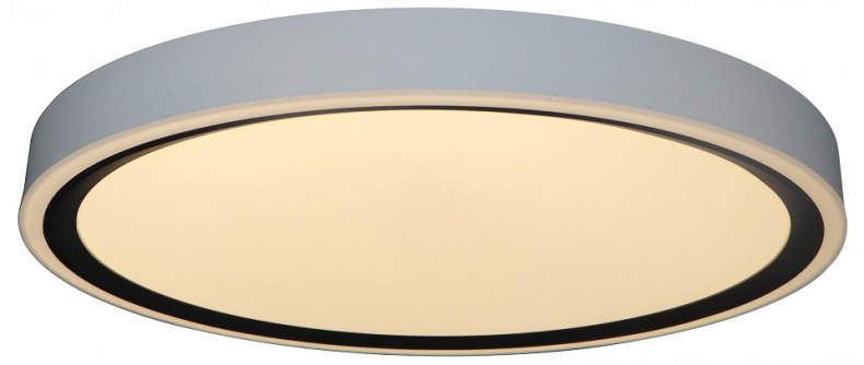 Накладной светильник Zortes BELLA ZRS.1201.07 - 2