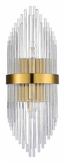 Накладной светильник ST-Luce Arezzo SL1178.201.02 - 0