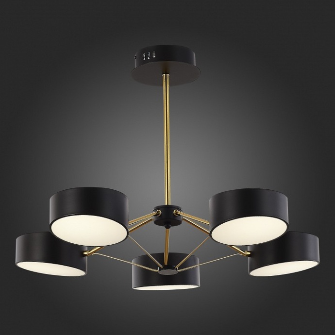 Люстра на штанге EVOLUCE Valle SLE6005-402-05 - 4