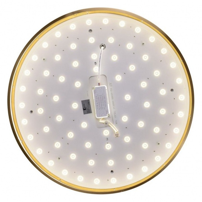 Накладной светильник Zortes Monna ZRS.1209.12 - 2