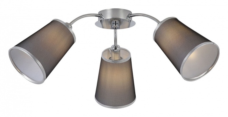 Потолочная люстра EVOLUCE Maleonte SLE103002-03 - 0