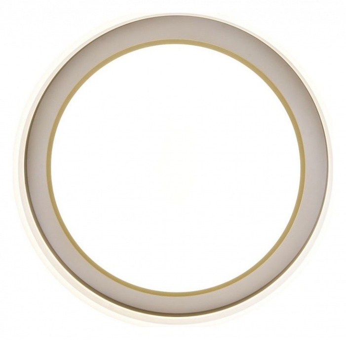 Накладной светильник Zortes Adel ZRS.1200.01 - 1