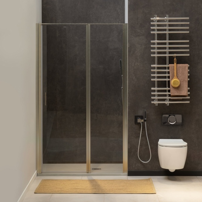 Душевая дверь в нишу Allen Brau Priority 3.31008.BA 120 - 0