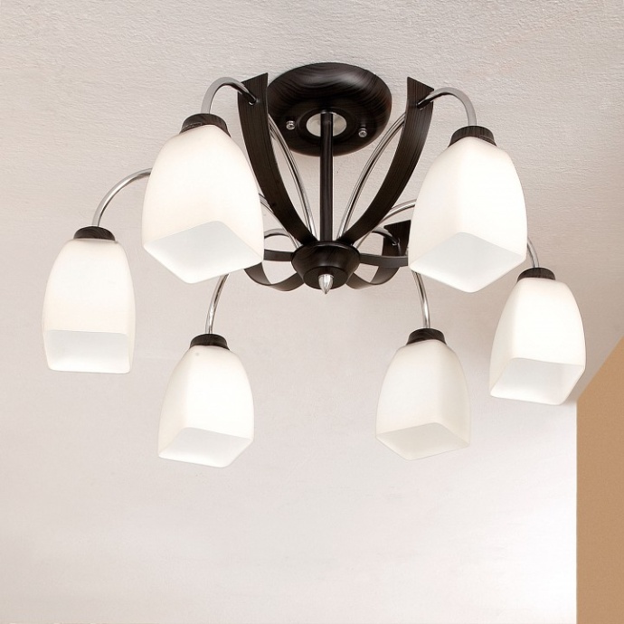 Потолочная люстра Citilux Крокус CL128161 - 1