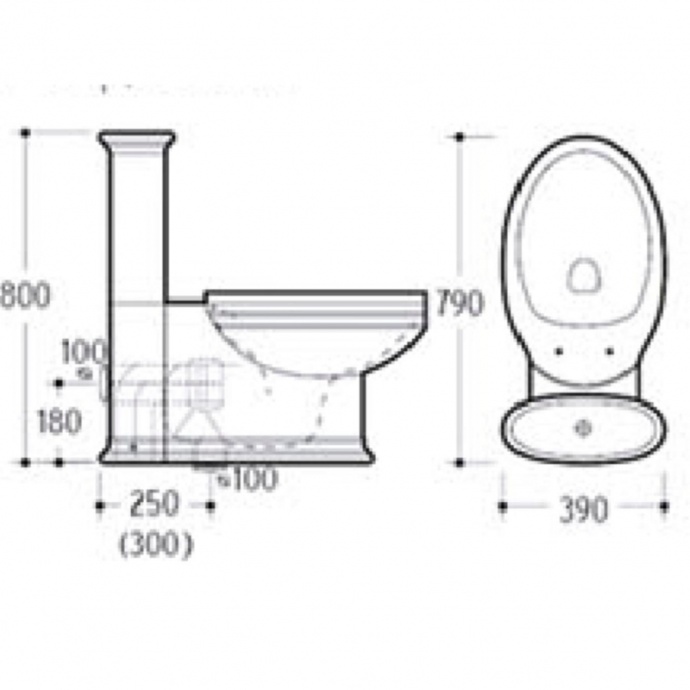 Чаша для напольного унитаза Boheme Puro белый с узором хром с бачком без сиденья 959-CR - 1