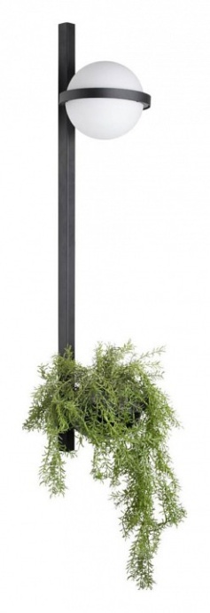 Настенный светильник LOFT IT Jardin 10121W/B - 2