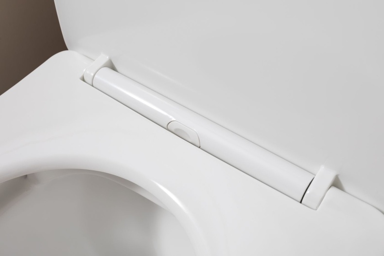 Cetus 2.0 C1 Чаша с сидением (Soft Close-SLIMSEAT) для унитаза напольного с Rimless (243538) - 8