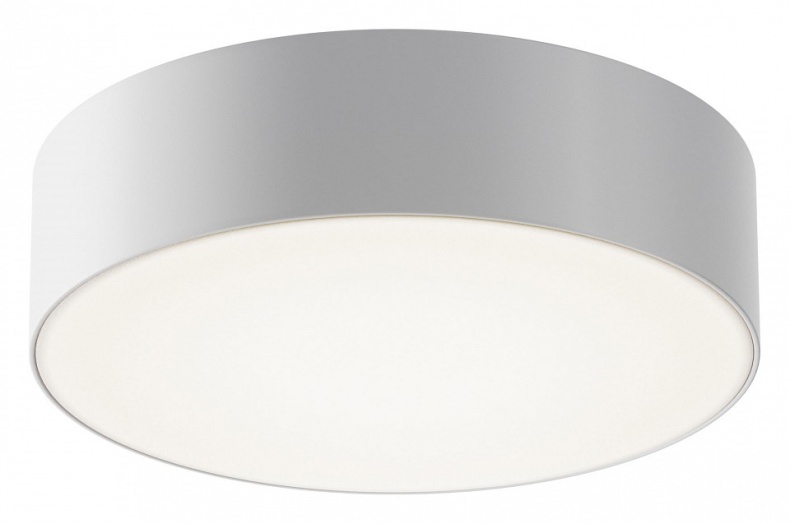 Накладной светильник Maytoni Zon IP O431CL-L30W4K - 0