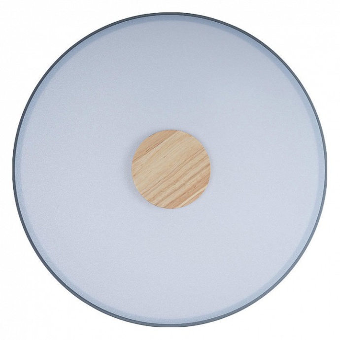 Накладной светильник Loft it Axel 2 10003/24 Grey - 1