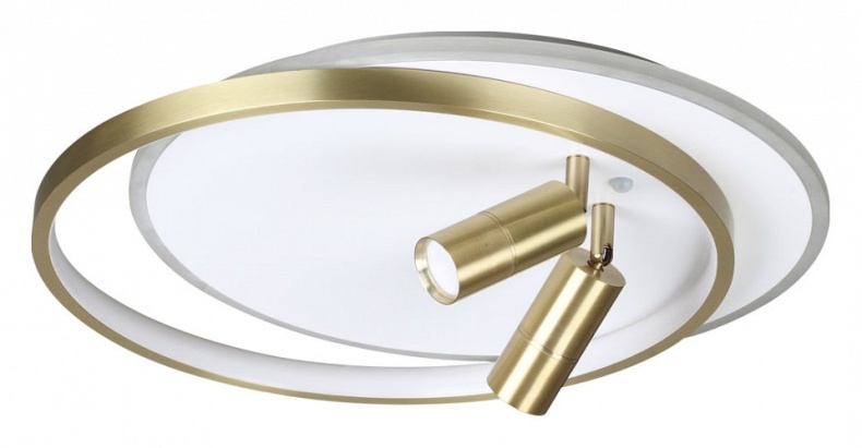 Потолочная светодиодная люстра Lumion Naoko 5603/63CL - 0