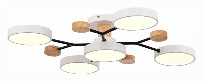 Потолочная люстра EVOLUCE Faema SLE6006-502-05 - 3