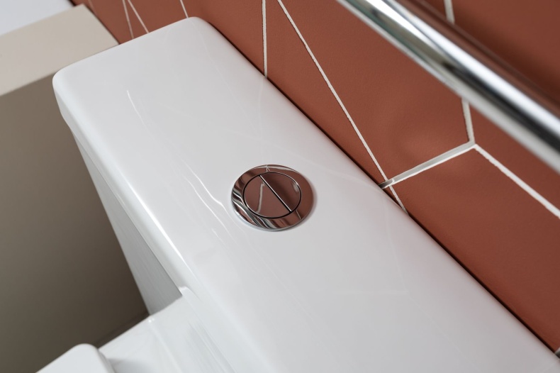 Cetus 2.0 C1 Чаша с сидением (Soft Close-SLIMSEAT) для унитаза напольного с Rimless (243538) - 6